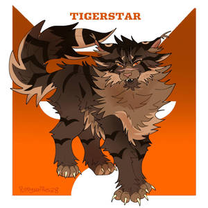 #49 Tigerstar100 Warriors Challenge