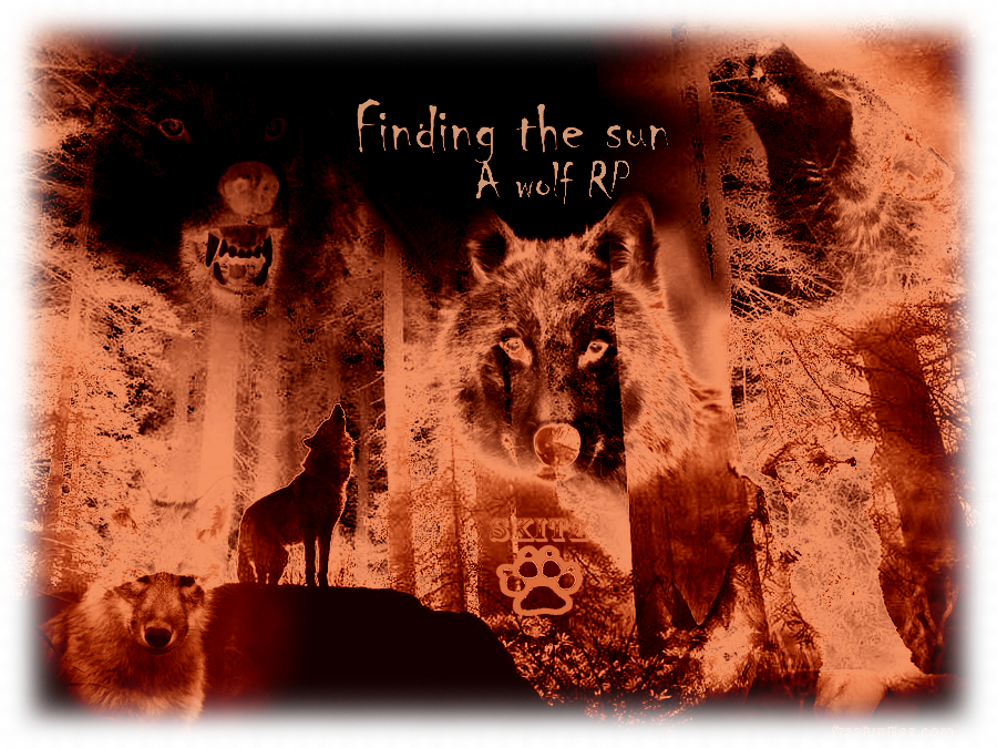 RP Banner by SkitzyWyvernWolf on DeviantArt