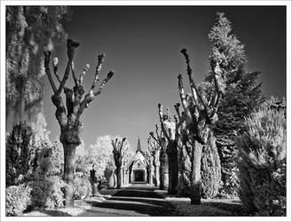 ir cemetery