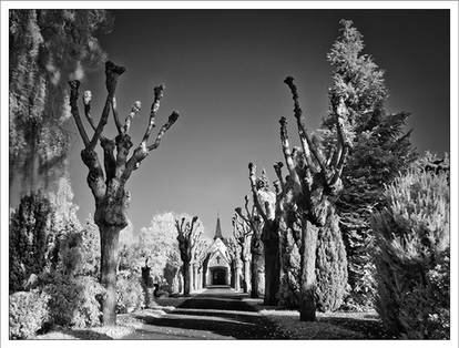 ir cemetery