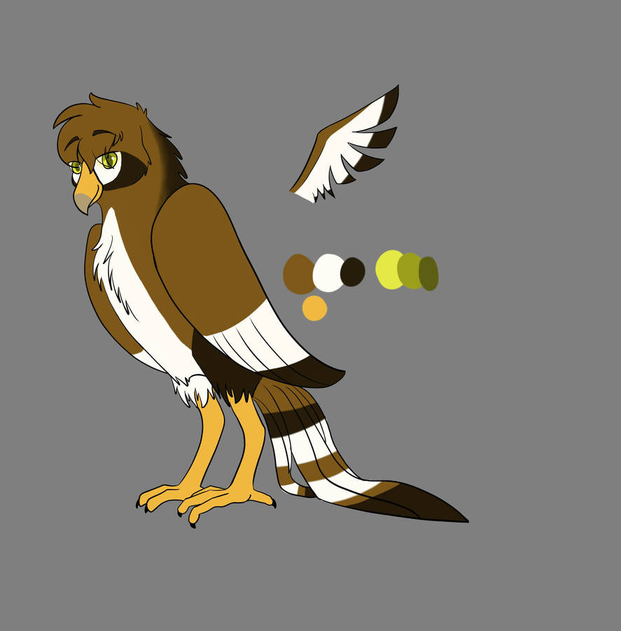 Hawk Ref Base Hawk Ref by RoyalHawk89 on DeviantArt