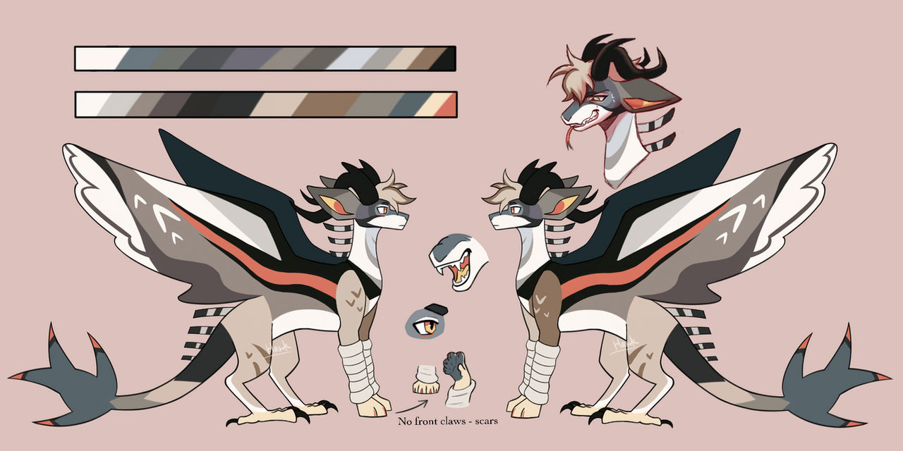 Hawk Ref Base Hawk ref sheet by Hawkill on DeviantArt