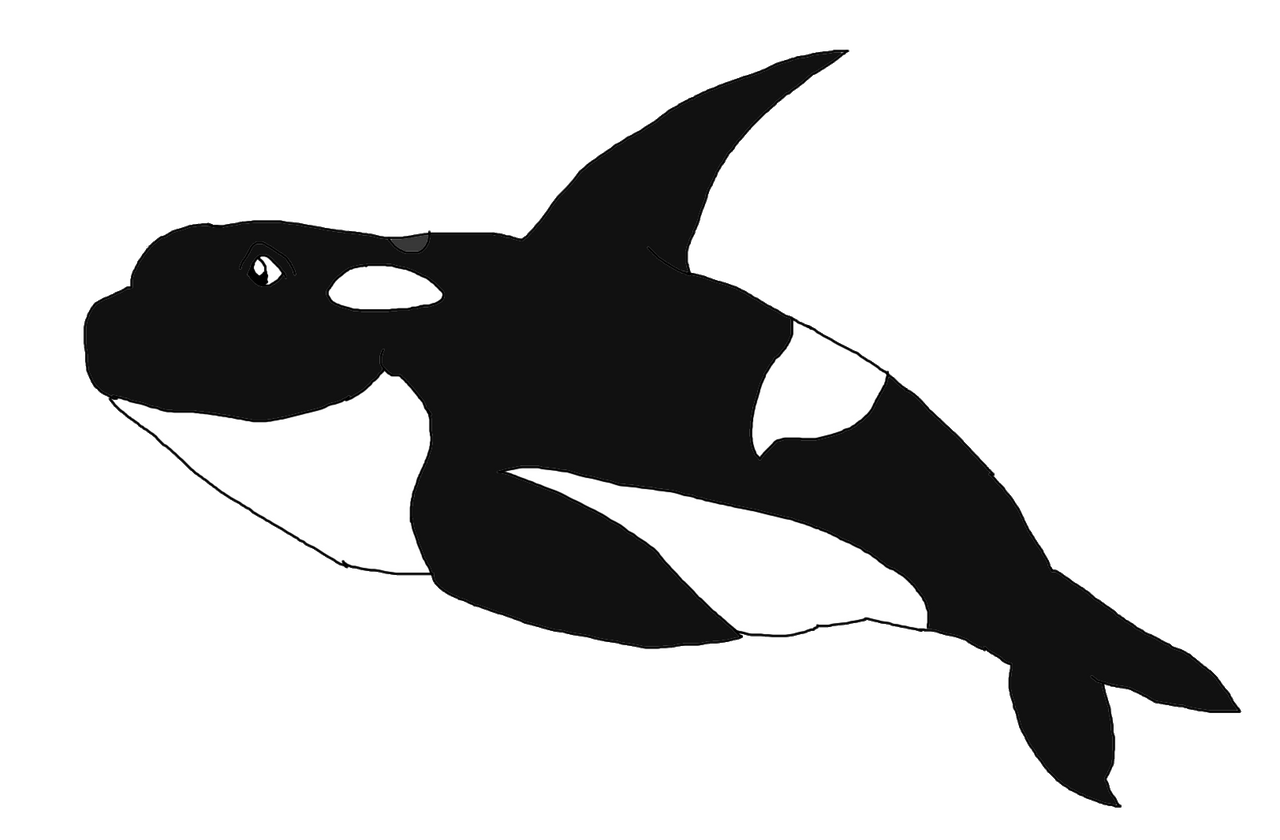 Fat Orca by KallyToonsS on DeviantArt