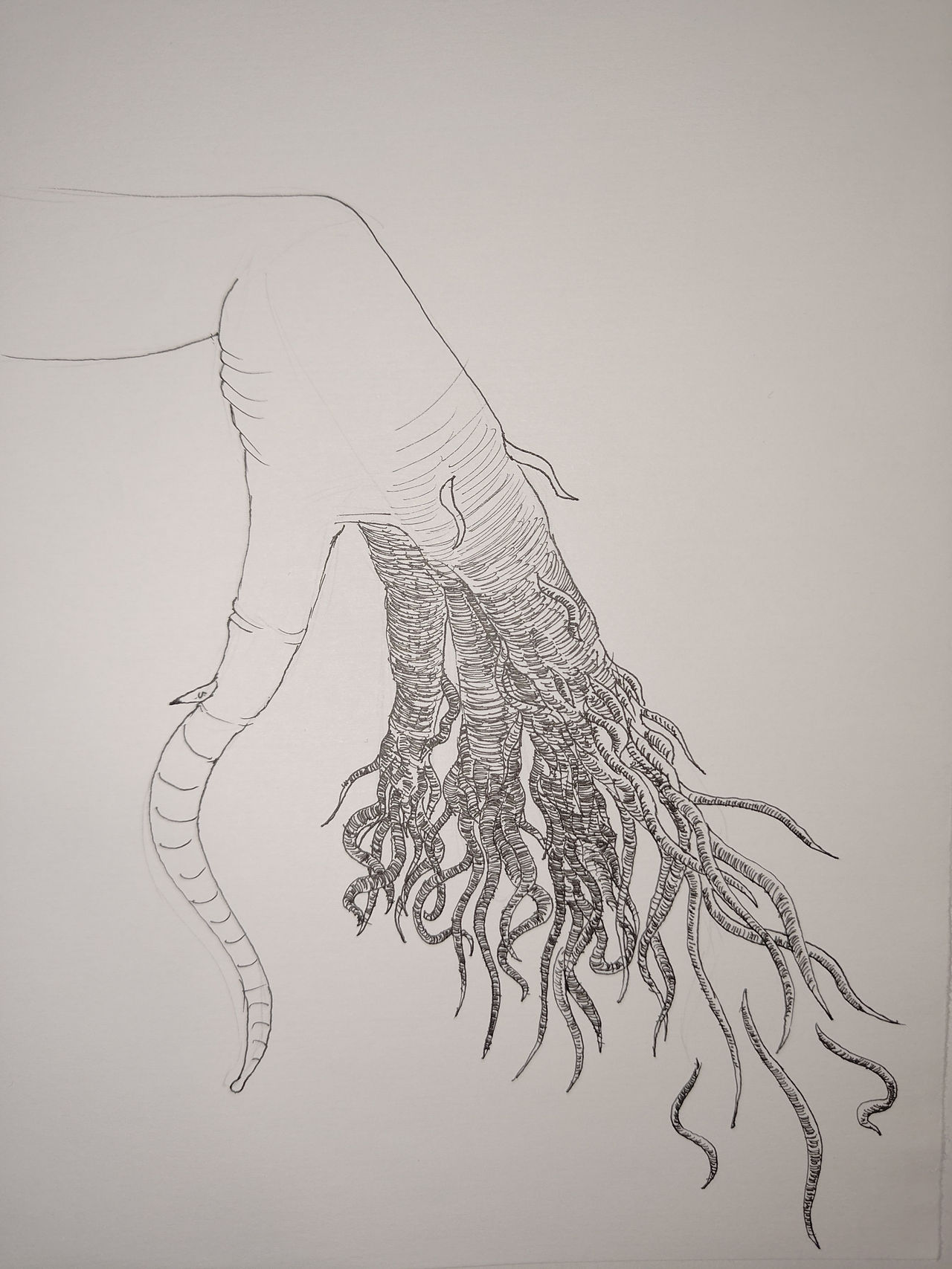 Untangling Deviantart Untangling by unautrefeignant on DeviantArt