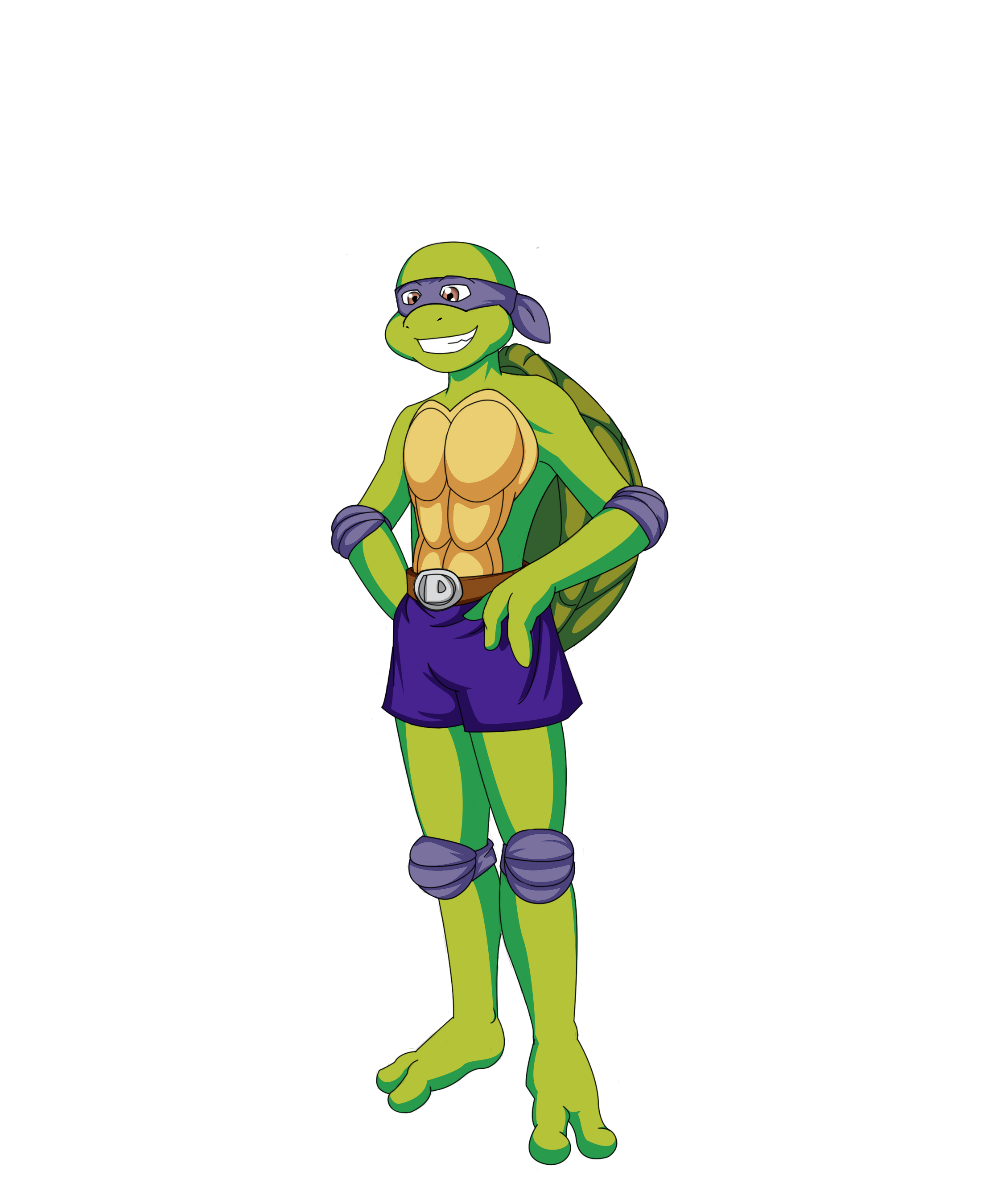 Deviantart Softshell Turtle Shellshocked: Turtle Trainee: D, S by Reshirblade on DeviantArt