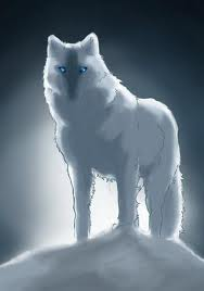 White wolf Anime by AnimeGrayWolf on DeviantArt White wolf Anime by AnimeGrayWolf on DeviantArt