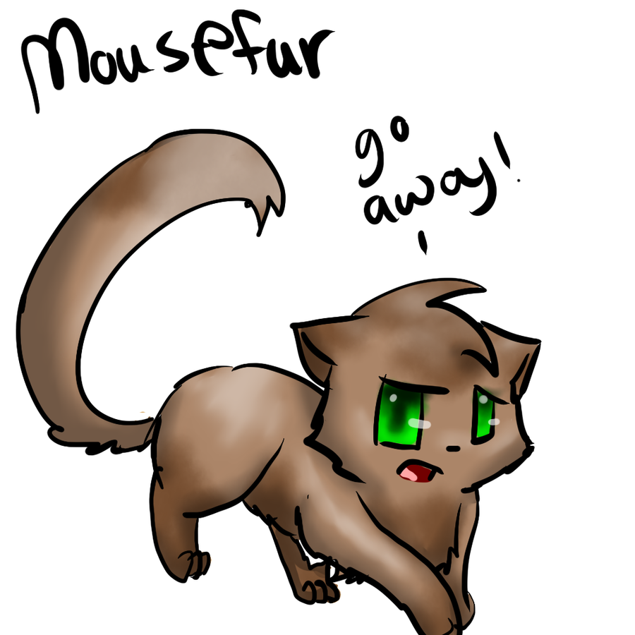 Mousefur Cats Warriors. Stupid Kitten. Cats long tails