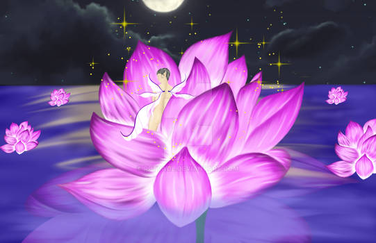 Lotus Fairy