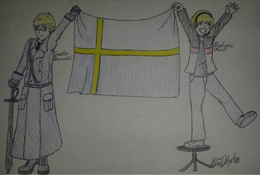 Sweden(Berwald) and Pewdiepie(Felix)-wave our flag