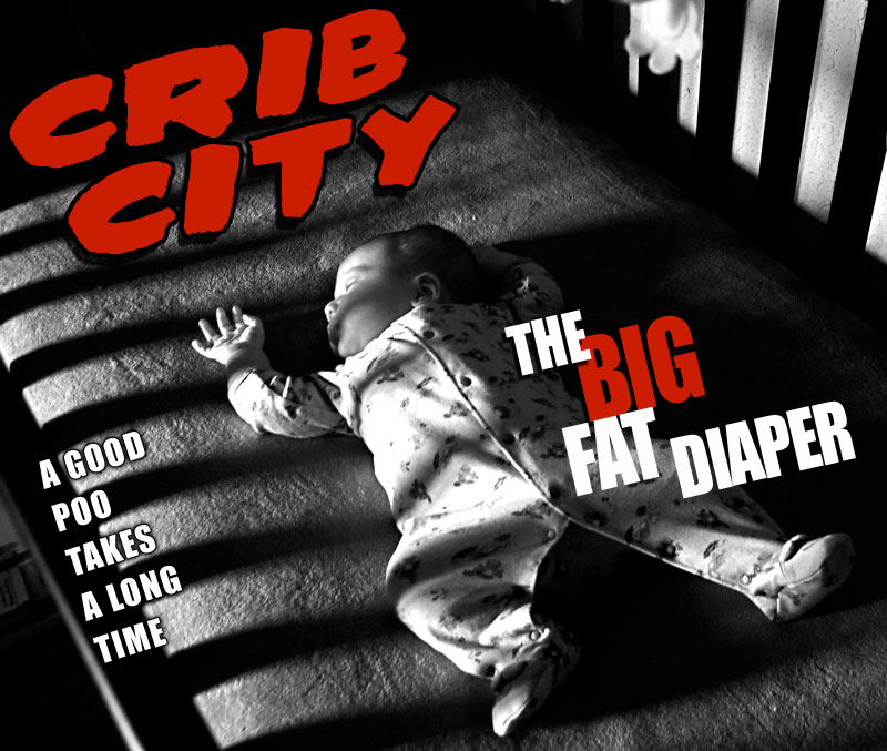 Crib City the Big Fat Diaper