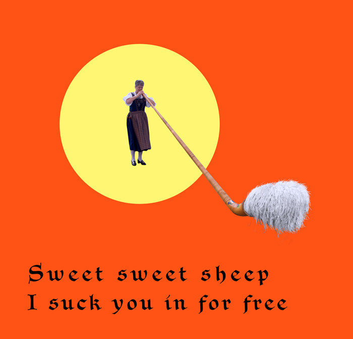 sweet sweet sheep