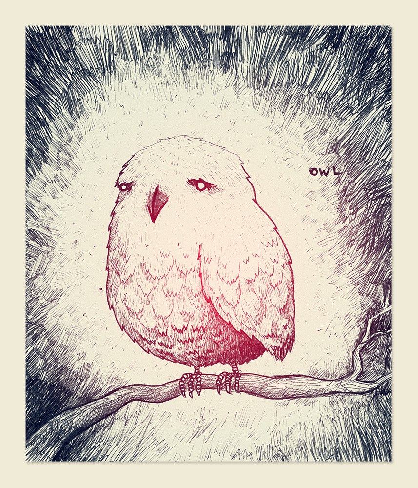 Owl