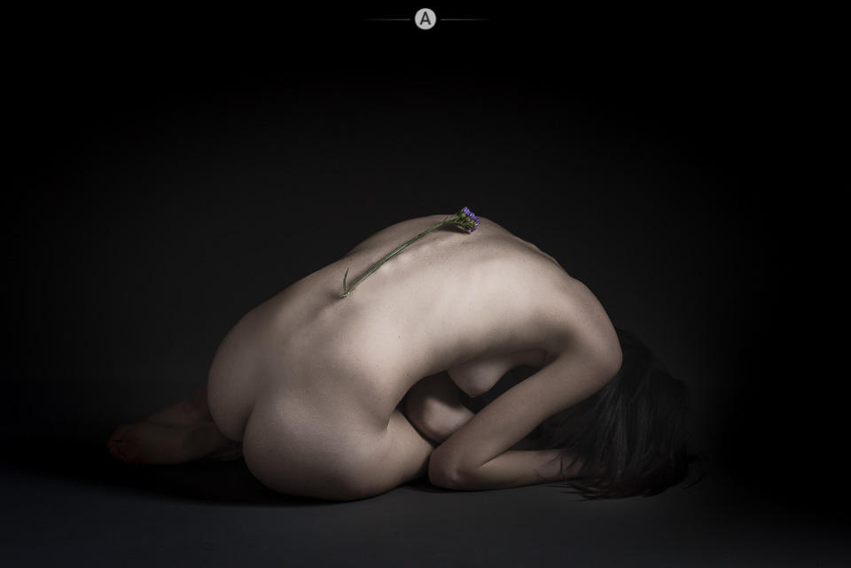 Renaissance by PaulAnditon Renaissance by PaulAnditon