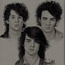 The Jonas Brothers: Portrait