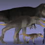 Tyrannosaurus Ontogeny