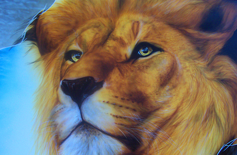 LION DETAIL