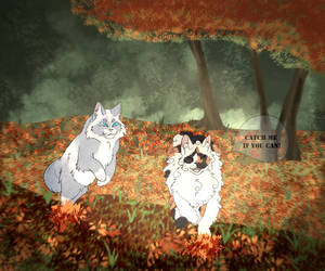 Brightpaw and Featherpaw