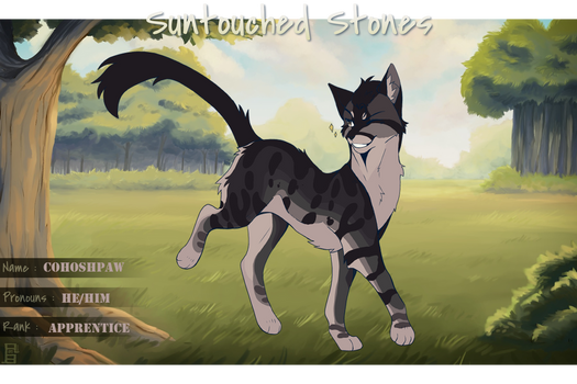 Cohoshpaw :STS: