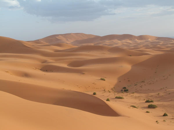 Marocco desert 2