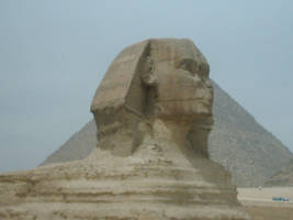 La Sfinge - Egitto
