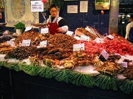Barcellona 2009 7