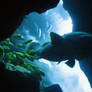 Dubai acquarium 12