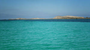 Asinara 1