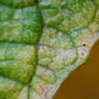 Dsc4819