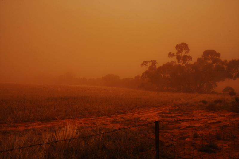 Dust Storm