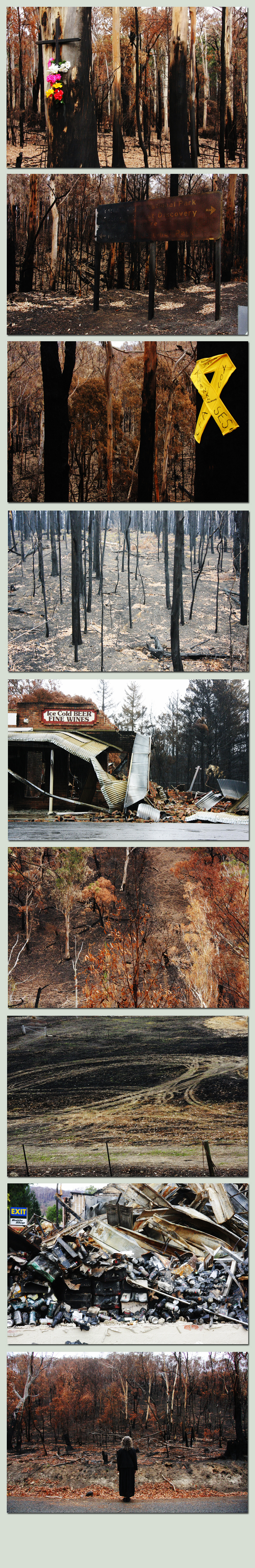 bushfire aftermath