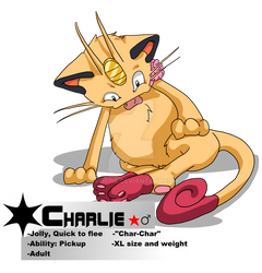 Pokemon Cats: Charlie