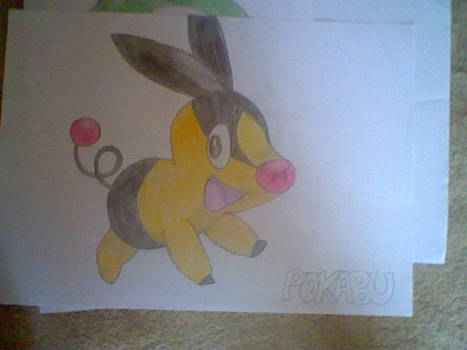 Pokemon Tepig Draw