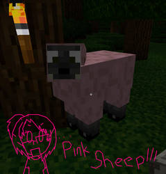 PINK SHEEP