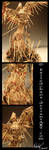 ::Matches Phoenix::DETAILS by ExiledChaos