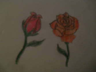 Two Roses.