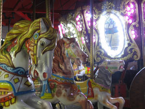 Carousel Horses, Cuyahoga County Fair