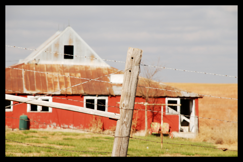 The Bright Barn