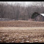 The Brown Barn