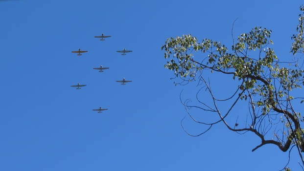 WWII Fly Over