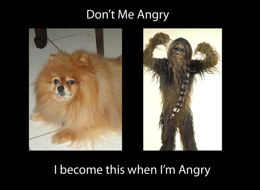 Don't make Angry