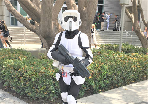 Scout Trooper