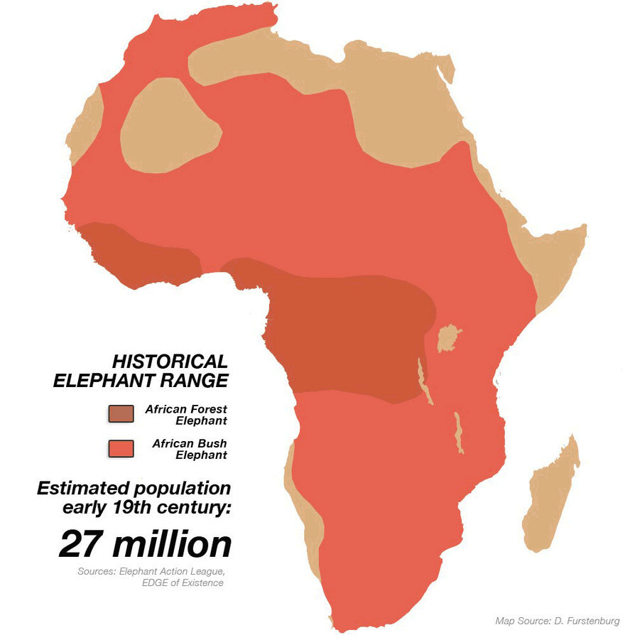 Elephant Live Map Elephant Distribution by BobHopeXIVOtherMaps on DeviantArt