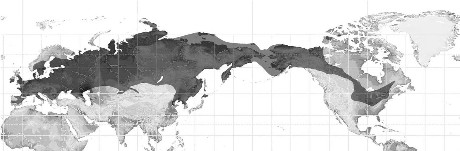 Woolly Mammoth During The Late Pleistocene By BobHopeXIVOtherMaps On woolly-mammoth-during-the-late-pleistocene-by-bobhopexivothermaps-on