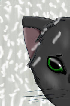 Hollyleaf's Pain