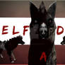 Delfadrak