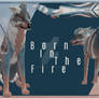 {C} BornInTheFire
