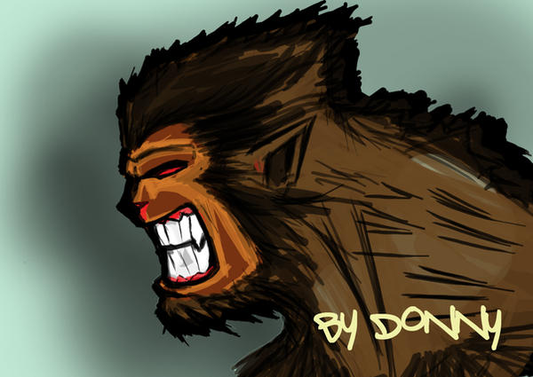 Warewolf Raaaaaaaa warewolf by donnyhellboy on DeviantArt