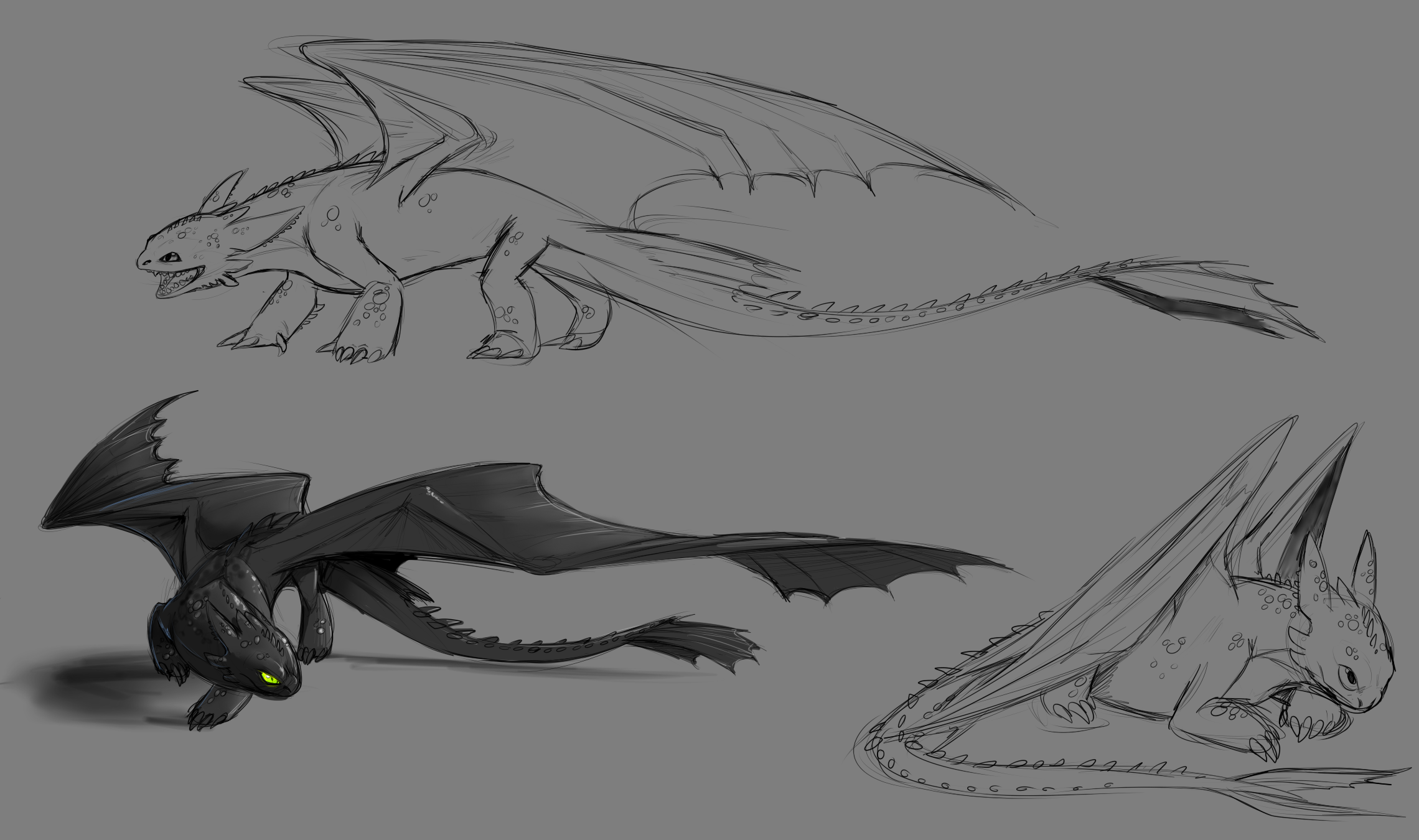 Toothless Sketches by Kelskora on DeviantArt