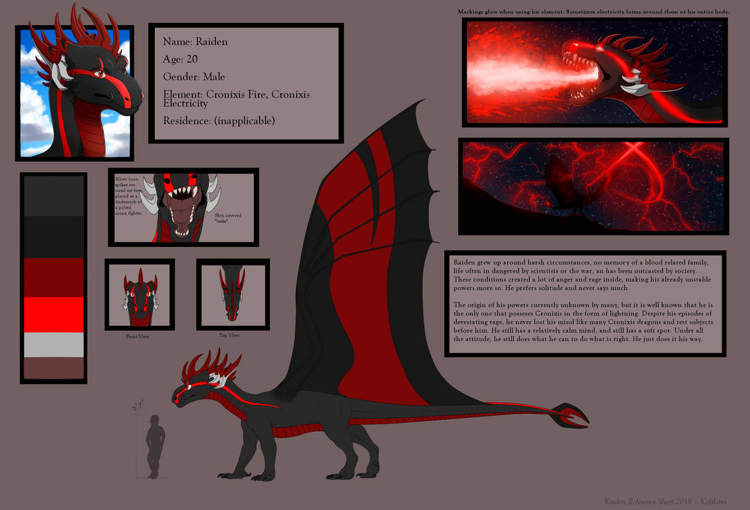Raiden Reference Sheet | 2018 by Kelskora on DeviantArt