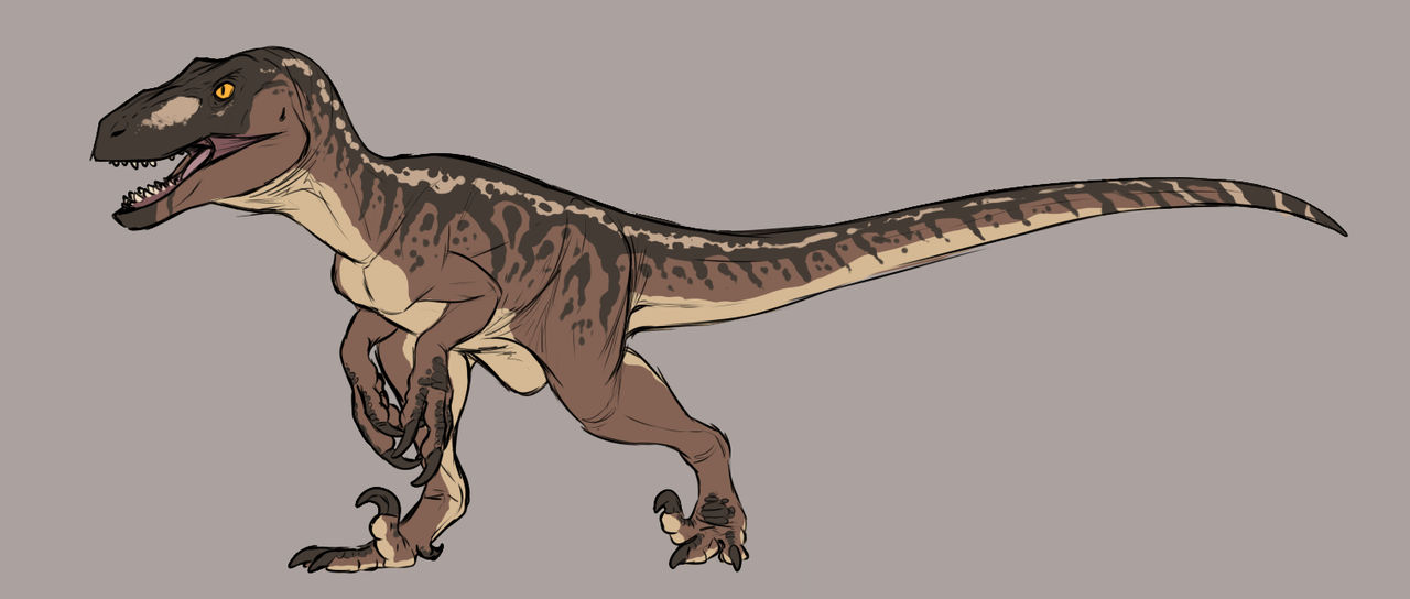 Utah Raptor Design Utahraptor | Commission by Kelskora on DeviantArt